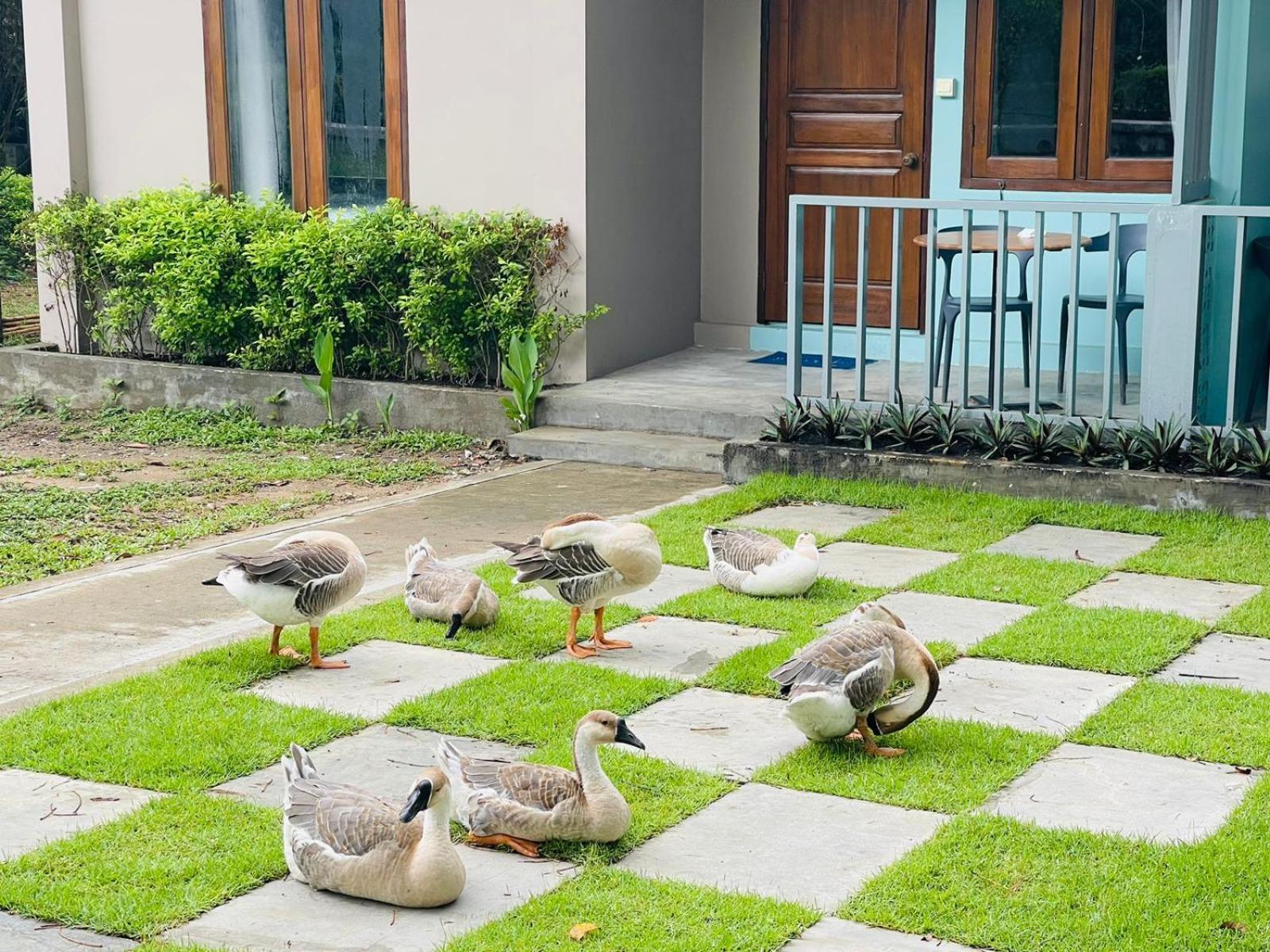 Wh Hotel & Service Apartment Thanlyin Exteriér fotografie